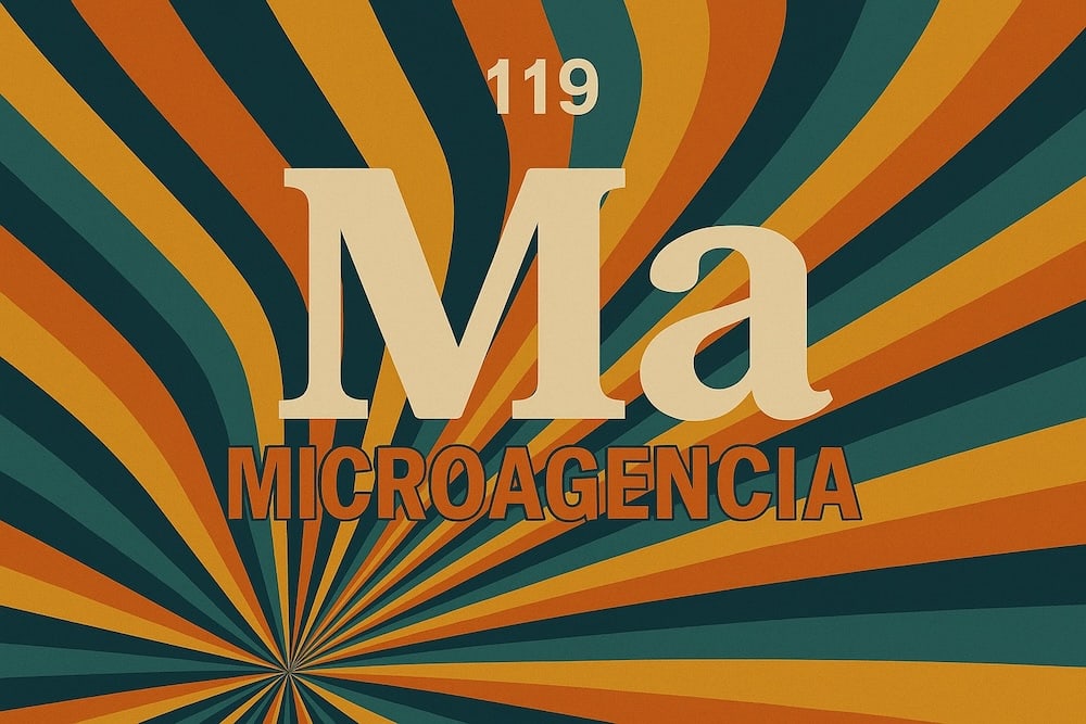 microagencia-sora-09